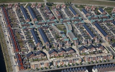 New Vinex: not the answer to family migration